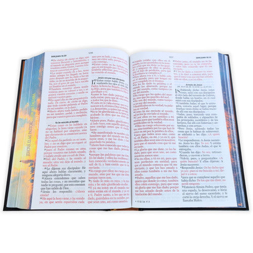 Biblia Letra Grande 12 Puntos RV1960, Tapa Dura- Pastor Y Ovejas- Con Elástico/ Mundo Biblia