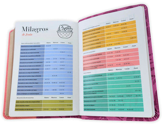 Biblia Portátil Letra Grande 12 puntos RV1960, imit piel duotono rosa fucsia floral/ Mundo Biblia