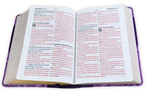 Biblia Portátil Letra Grande 12 Puntos RV1960, Imit Piel- Lila Floral/ Mundo Biblia
