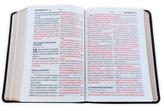 Biblia Portátil Letra Grande 12 puntos RV1960, imit piel duotono café y canela/ Mundo Biblia