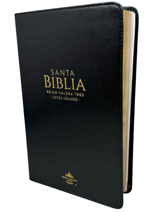 Biblia letra grande negro RV1960