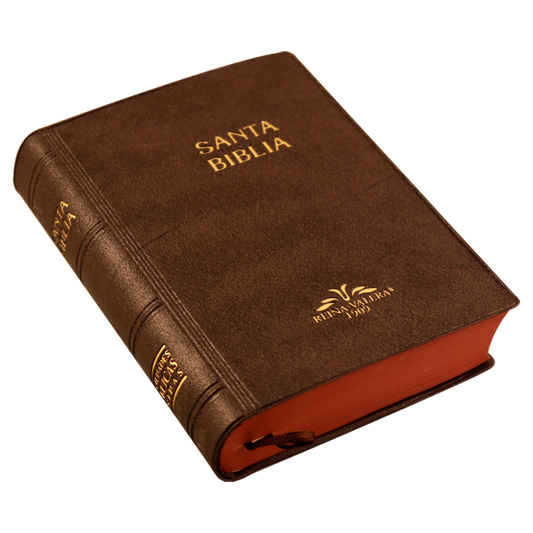 Biblia bolsillo RVR09 – Café