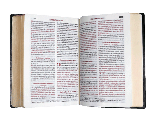 Biblia chica letra mediana MDM RVR60 – Café