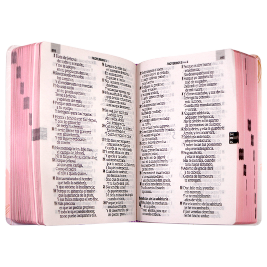 Biblia mediana letra gigante RVR60 – Flores pastel