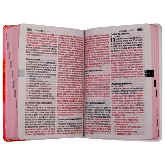 Biblia mediana letra grande RVR60 – Flor rosa