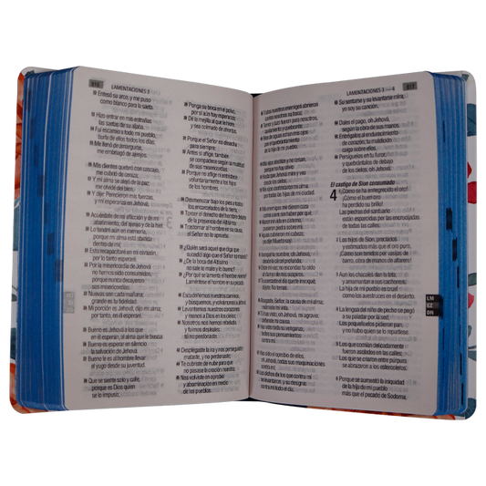 Biblia mediana letra grande RVR60 – Flores