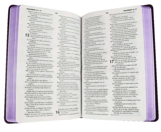 Biblia Reina Valera 1960 Mediana Letra Mediana / Imitación Piel Lila Ultrafina