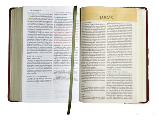Biblia temática de estudio NBLA – Café