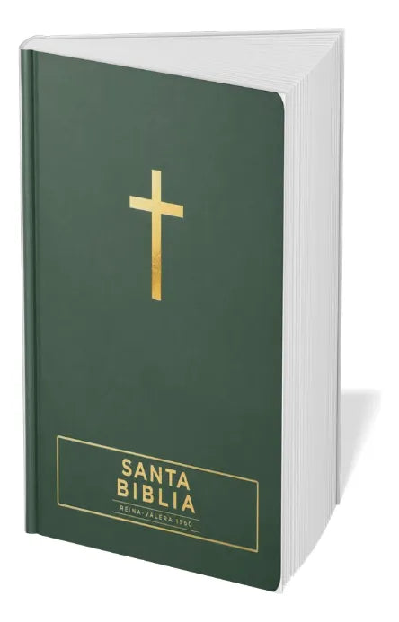 Biblia visual con mapas mentales RVR60 – Verde / Tapa dura