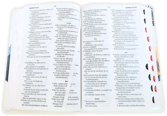 Biblia Letra Grande Águila Sobre Montañas RVR.1960 Imit Piel Blanca Con Índice