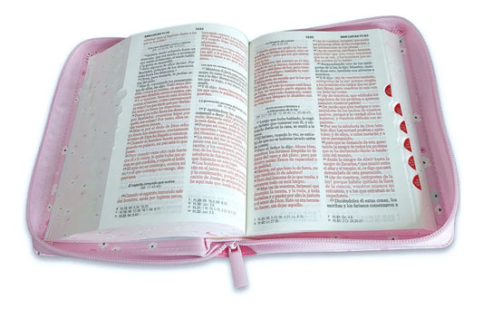 Biblia con Cierre Compacta 10 Puntos RV1960, Imit Piel Rosa Mariposas Floral Con Índice Y Canto Floral