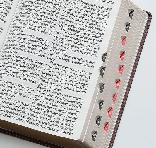 Biblia Éfeso RVR1960 Super Gigante Con Índice, Imit Piel Café Geométrico/ Mundo Biblia