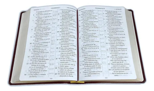 Biblia Reina Valera 1909 letra gigante / vino