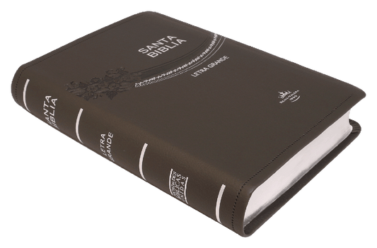 Biblia Mediana Letra Grande / Gris / RV1960