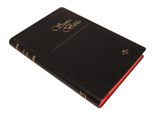 Biblia Mediana Vinil Negro / RV1960