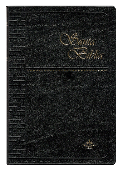 Biblia Mediana Vinil Negro /  Concordancia / RV1960