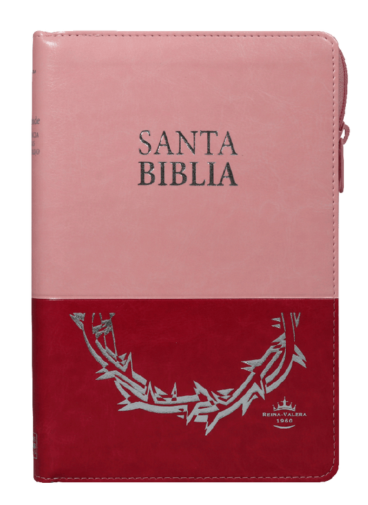 Biblia Mediana Rosa Duo Tono letra grande /RV1960