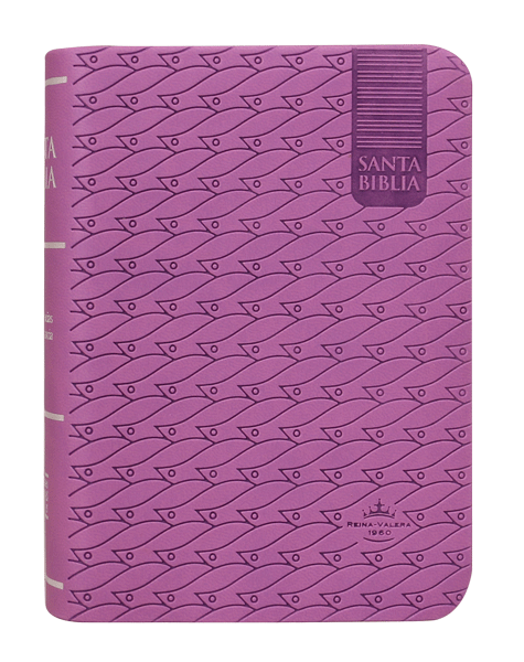 Biblia Morado Bolsillo / RV1960