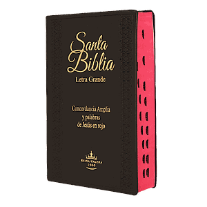 Biblia Mediana Vinil Negro / Canto Pintado / Indice / RV1960