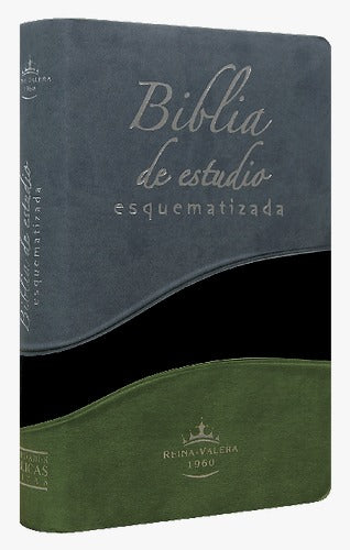 Biblia de Estudio Esquematizada Bicolor - RV1960