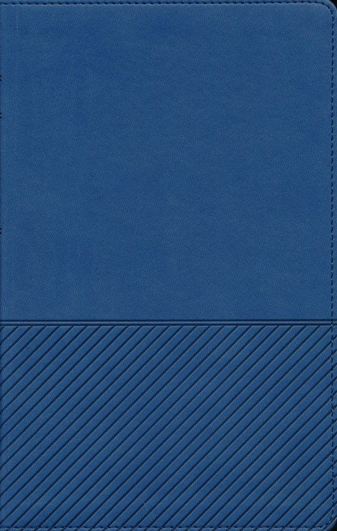 BIBLIA DE ESTUDIO NTV PARA JOVENES CON FILAMENT AZUL