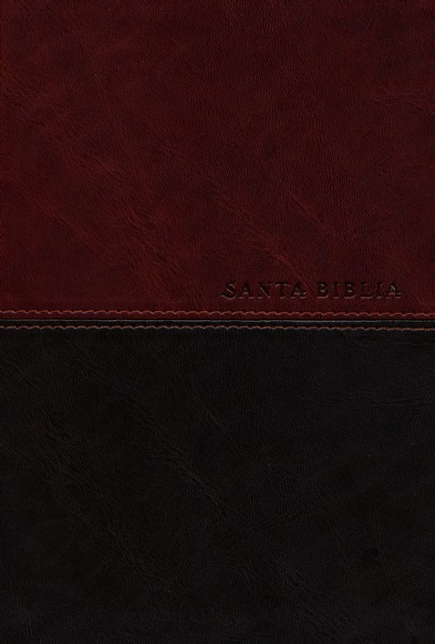 Biblia Edición personal NTV letra grande café/café claro