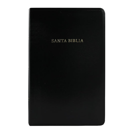 Biblia Reina Valera 1909 con referencia, mediano ,imitación piel /negro