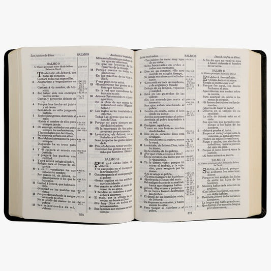 Biblia Reina Valera 1909 grande/ Negro imitación piel