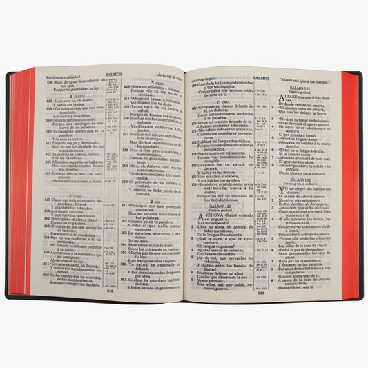 Biblia Reina Valera 1909 grande/ vino