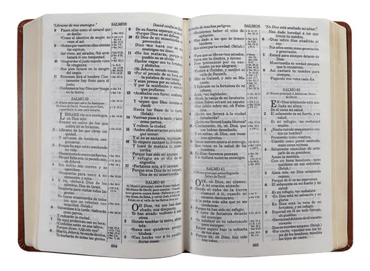 Biblia Reina Valera 1909 grande/ café imitación piel