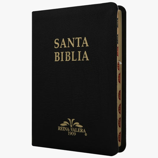 Biblia Reina Valera 1909 mediana/ negro