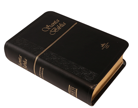 Biblia Bolsillo Negro / RV1960