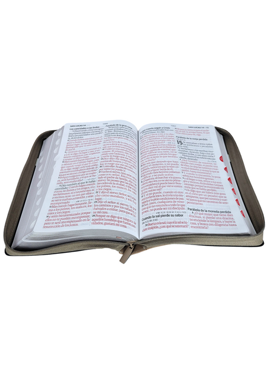 Biblia manual letra súper gigante RV1960 con con índice y cierre - Iconic Tricolor Gris  Negro Beige