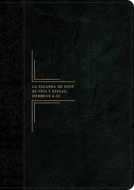 Biblia de Estudio: Diario Vivir / Letra Grande / Negro / RV1960