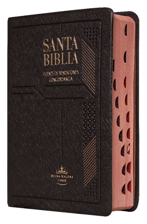 Biblia Compacta / Fuente de Bendiciones / Vinil Marrón / RV1960