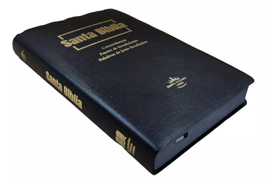 Biblia fuente de bendiciones mediana RV1960 imitación piel negro