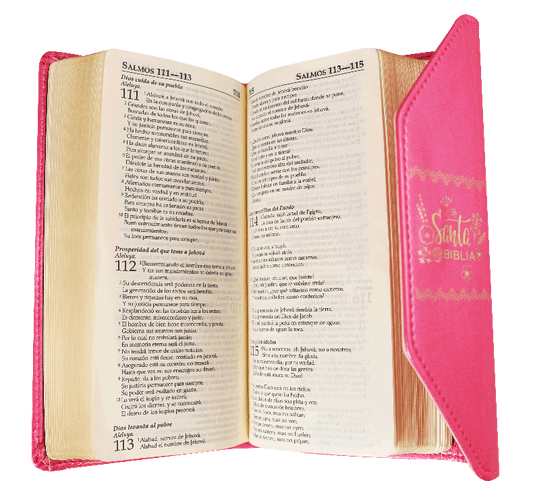 Biblia Agenda Fucsia Solapa / RV1960