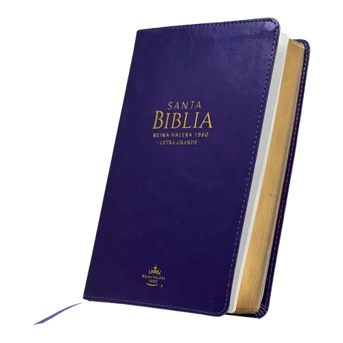 Biblia letra grande morada RV1960