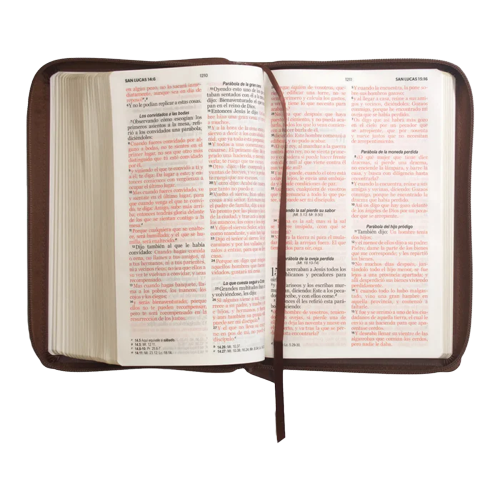 Biblia letra grande café con cierre RV1960